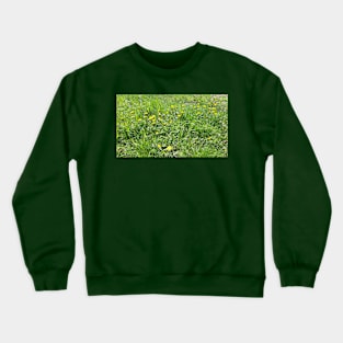 Spring grass, flowers, nature photo Crewneck Sweatshirt